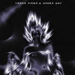 Harm's Way - CD Audio di Terra Firma
