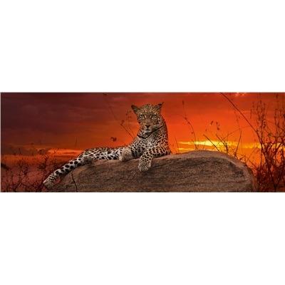 Puzzle 2000 pz Panorama - Red Dawn, AvH - 3