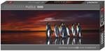 Puzzle 1000 pz Panorama - King Penguins, AvH