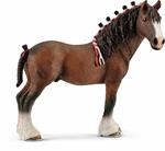 Castrone Clydesdale