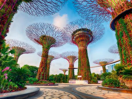 Ravensburger - Puzzle Garden by the Bay at Singapore, Puzzle 1500 pezzi, Puzzle Adulti e Bambini +14 anni, 80x60cm - 2