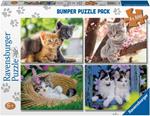 Ravensburger - Puzzle Piccoli gatti, Collezione Bumper Pack 4X100, 4 Puzzle da 100 Pezzi, Età Raccomandata 5+ Anni