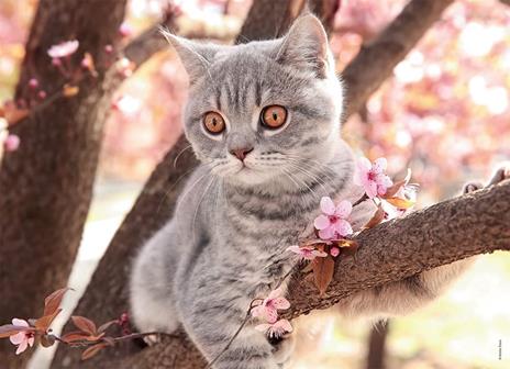 Ravensburger - Puzzle Piccoli gatti, Collezione Bumper Pack 4X100, 4 Puzzle da 100 Pezzi, Età Raccomandata 5+ Anni - 2