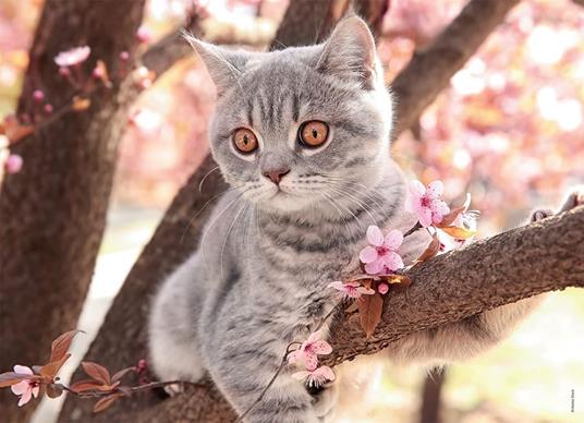 Ravensburger - Puzzle Piccoli gatti, Collezione Bumper Pack 4X100, 4 Puzzle da 100 Pezzi, Età Raccomandata 5+ Anni - 2