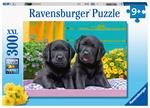 Puzzle Ravensburger Vita da cucciolo   300 pezzi