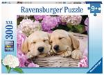 Ravensburger - Puzzle Labrador sognanti, 300 Pezzi XXL, Età Raccomandata 9+ Anni