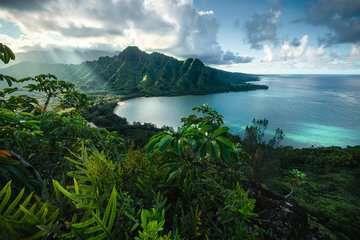 Ravensburger - Puzzle Paesaggio hawaiano, 5000 Pezzi, Puzzle Adulti - 3