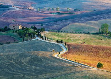 Puzzle Ravensburger Talent collecition: Podere Terrapille. Pienza. Siena.Toscana 1000 pezzi - 2