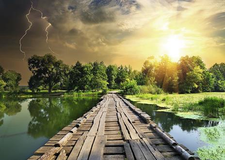 Ravensburger - Puzzle Luce mistica, Collezione Nature Edition, 1000 Pezzi, Puzzle Adulti - 3