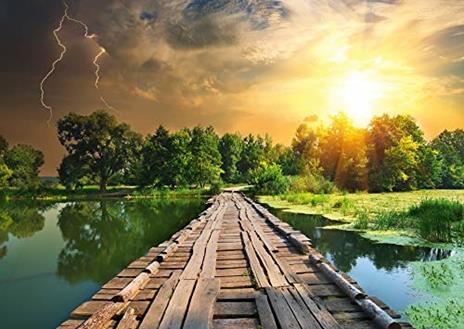 Ravensburger - Puzzle Luce mistica, Collezione Nature Edition, 1000 Pezzi, Puzzle Adulti - 6