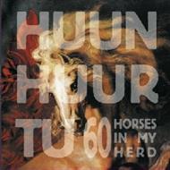 60 Horses in my Herd