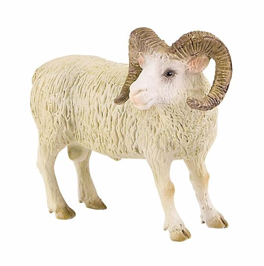 Fattoria. Ram - 3