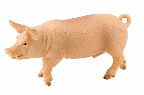 Fattoria. Boar