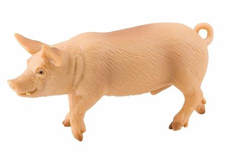 Fattoria. Boar - 3