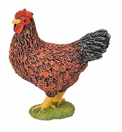 Fattoria. Hen
