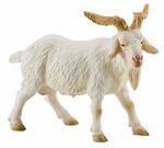 Fattoria. Billy Goat