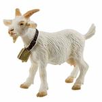 Fattoria. Goat