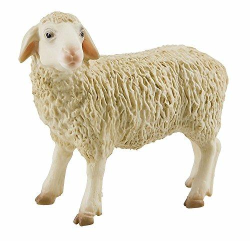 Fattoria. Sheep
