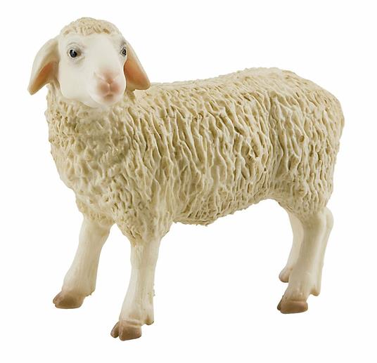 Fattoria. Sheep - 3