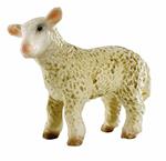 Fattoria. Lamb