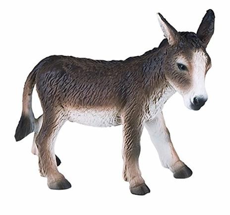 Fattoria. Donkey