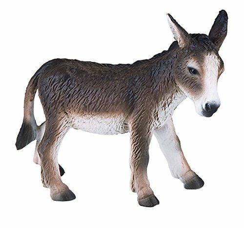 Fattoria. Donkey