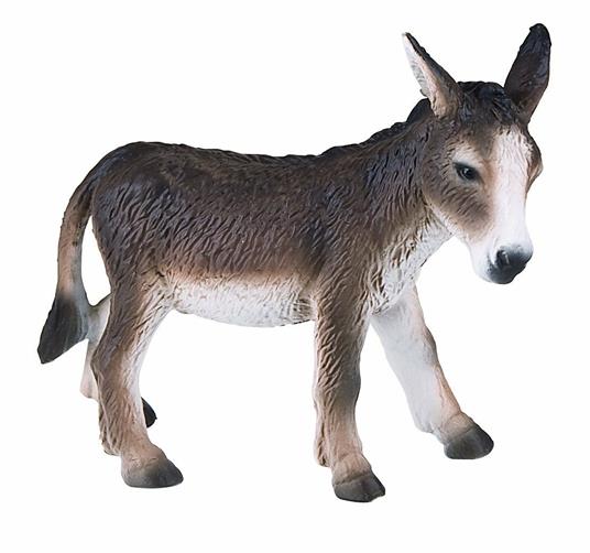 Fattoria. Donkey - 3