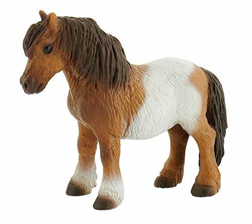 Cavalli. Shetland Pony