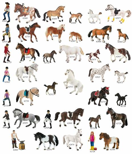 Cavalli. Shetland Pony - 4
