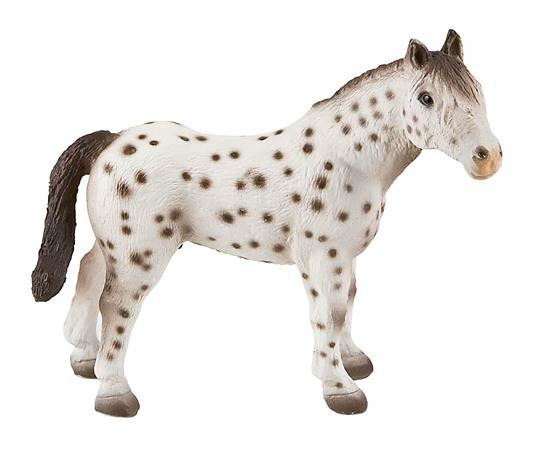 Cavalli. Knabstrupper Stallion - 3