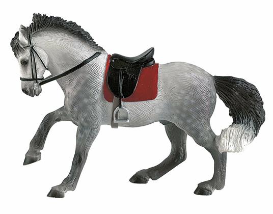 Cavalli. Andalusian Gelding - 4