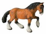 Cavalli. Shire Horse Gelding