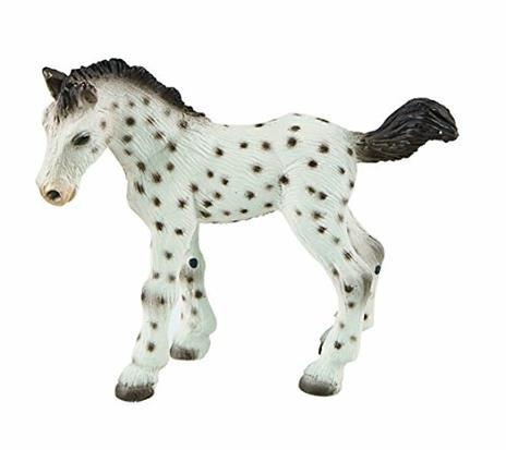 Cavalli. Knabstrupper Foal
