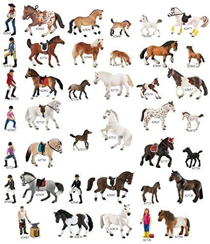 Cavalli. Paint Horse Foal - 2