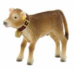 Alpeggio. Alp Calf Benni