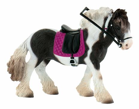 Gypsy Hores Mare - 5