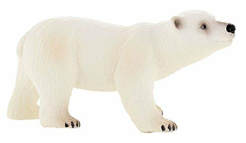 Selvaggi. Polar Bear Cub