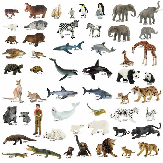 Selvaggi. Polar Bear Cub - 4