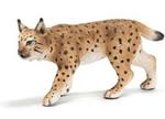Lince