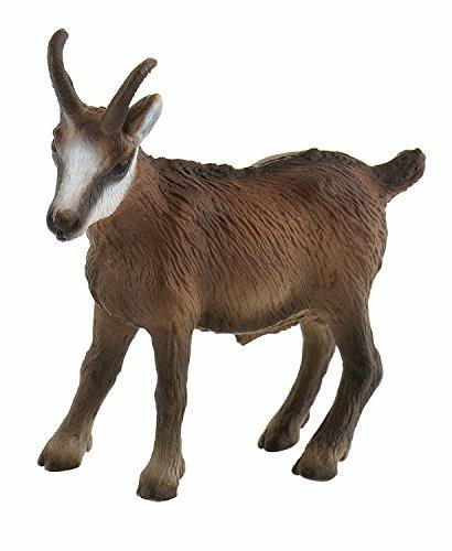 Alpeggio. Chamois