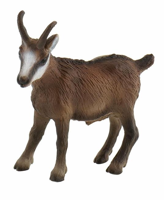 Alpeggio. Chamois - 3