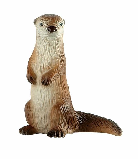 Lontra - 3