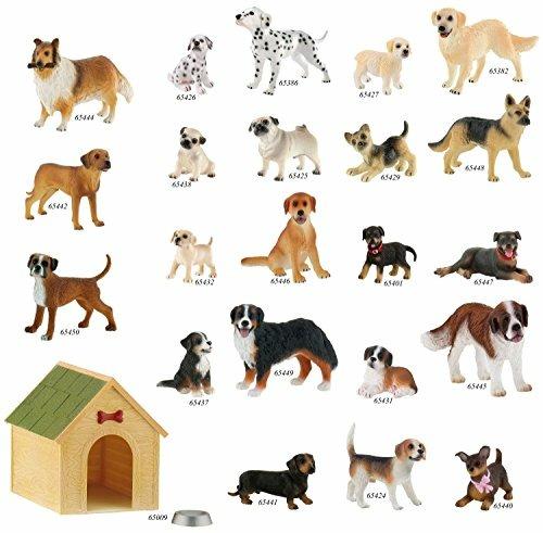 Cani. Beagle Henry - 2