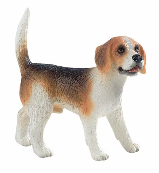 Cani. Beagle Henry - 3