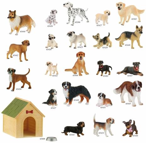 Cani. Beagle Henry - 4