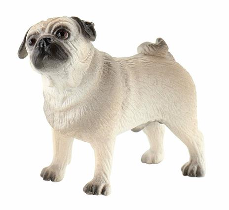 Cani. Pug Percy - 3