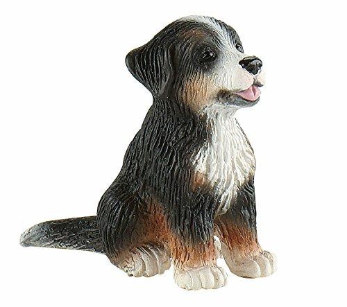 Cani. Bernese Mountain Puppy Joy