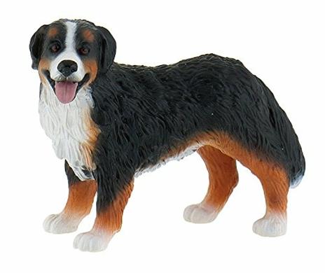 Cani. Bernese Mountain Dog Bianca