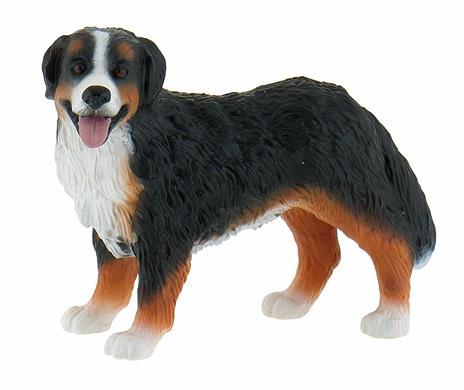 Cani. Bernese Mountain Dog Bianca - 4