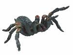 Ragni. Tarantula